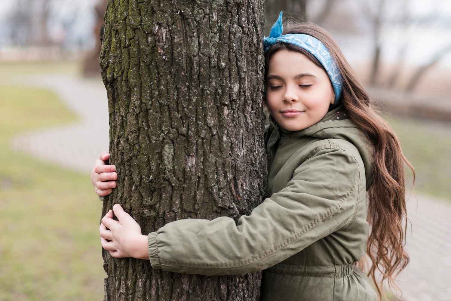 The Steps Involved in Our Tree Care Process in Silver Bay, MN